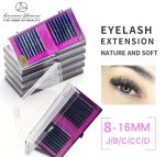 Luscious Glances Soft And Natural Eyelash Extensions Individual Lashes