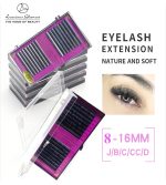 Luscious Glances Soft And Natural Eyelash Extensions Individual Lashes