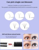 Easy Fan Lashes