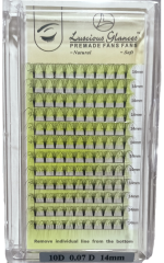 10D Pre made Volume Fan Lashes Box