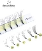 10D Pre made Volume Fan Lashes Box