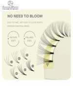 10D Pre made Volume Fan Lashes Box