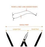 Ratio Ruler