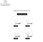 Eyelash Extensions Individual Lashes
