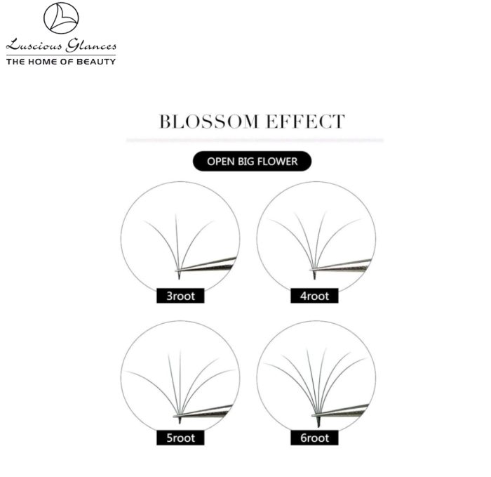 Eyelash Extensions Individual Lashes