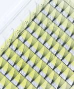 10D Pre made Volume Fan Lashes Box