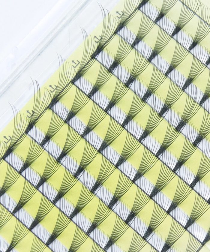 10D Pre made Volume Fan Lashes Box