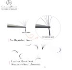 Eyelash Extensions Individual Lashes