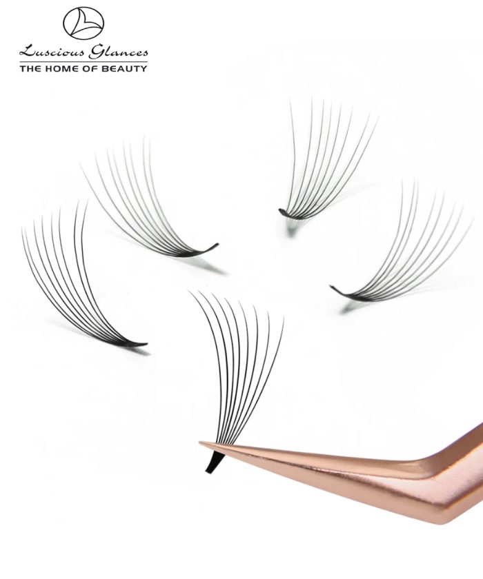 10D Pre made Volume Fan Lashes Box