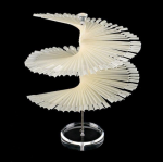 Nail Practic Tips Nail Color Display,