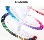 Nail Practic Tips Nail Color Display,