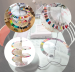 Nail Practic Tips Nail Color Display,