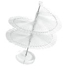 Nail Practic Tips Nail Color Display,